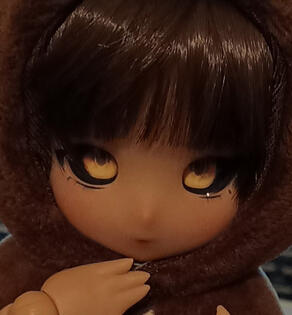  Aracha